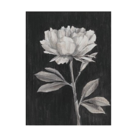 Ethan Harper 'Black And White Flowers Iii' Canvas Art,14x19